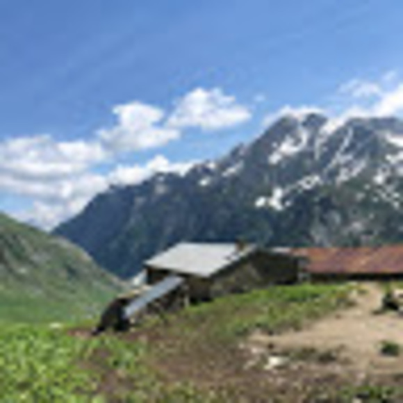 Meet your Posher, Erik - Picture 1 of 1